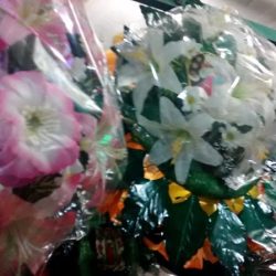 Florería "el Nardo"
