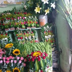 Florería El Paraíso