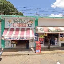 Floreria El Paraiso