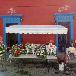 Floreria El Paraiso