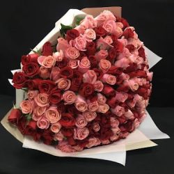 Florería El Paraíso