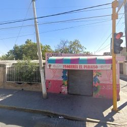 Floreria El Paraiso