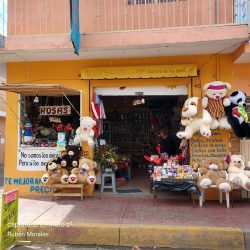 Floreria El Paraiso