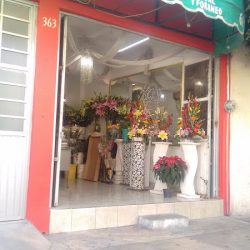 Florería El Paraíso