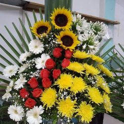 Floreria El Paraiso