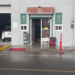 Florería El ParaÍso 5 Y 10