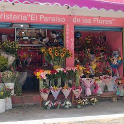 Florería El Paraíso De Las Flores