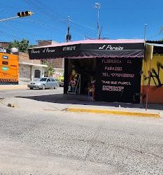 Florería El Paraiso Ll