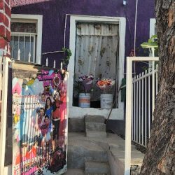 Florería El Patrón Gdl