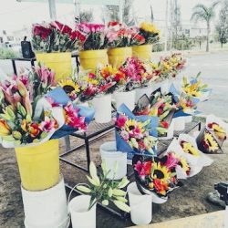Florería "el Puente Del Aifa"