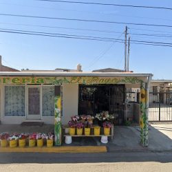 Florería El Rayo