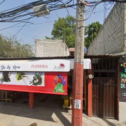 Floreria El Rey De La Rosa