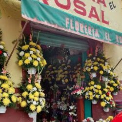 FlorerÍa El Rosal