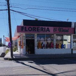 Floreria El Rosal