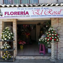 FlorerÍa El Rosal