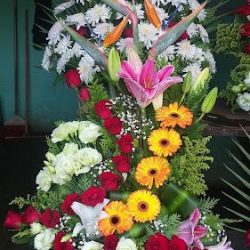 Florería El Rosal