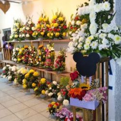 Floreria El Rosal