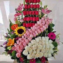 Floreria El Rosal
