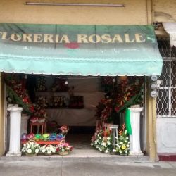 Floreria El Rosal