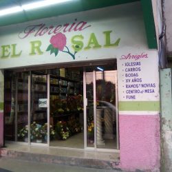 Floreria El Rosal