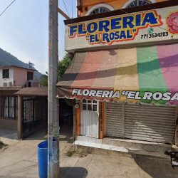 Floreria El Rosaly