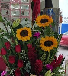 Florería El Sol