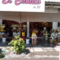 Florería "el Sueño"
