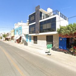 Floreria El Trebol