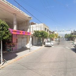 Florería El Tulipán