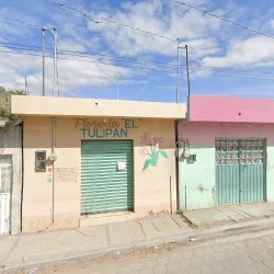 Florería El Tulipan