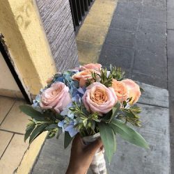 Florería El Tulipán