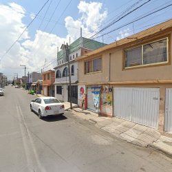 Florería ¨el Venado Y Ximena¨