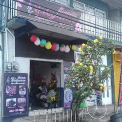 Florería Elegance