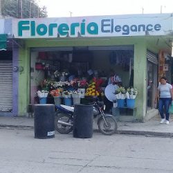 Florería Elegance