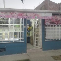 Floreria"elegant"