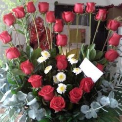 Floreria Eleonora On Line