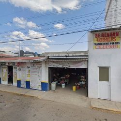 Floreria Eli