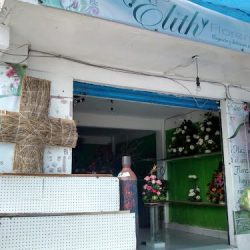 Florería Elith