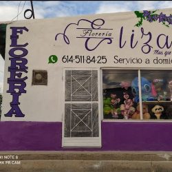 Florería Eliza