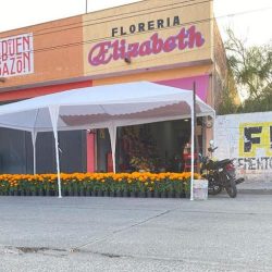 Floreria Elizabeth Bulevar Insurgentes
