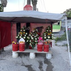 Floreria Emanuel