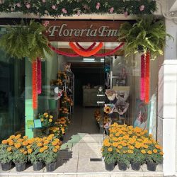 Florería Emi