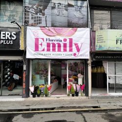 Florería Emily