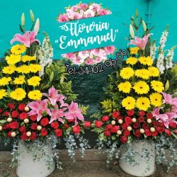 Florería Emmanuel