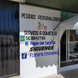Floreria Emociones
