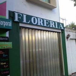 Floreria En Cancun_zazil