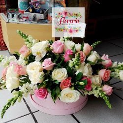 Floreria En Leon Gto