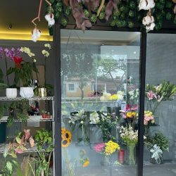 Florería En Mérida Figue Pineda