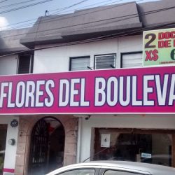 Florería En Morelia Invernadero San Diego Boulevard