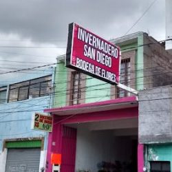 Florería En Morelia Invernadero San Diego Centro